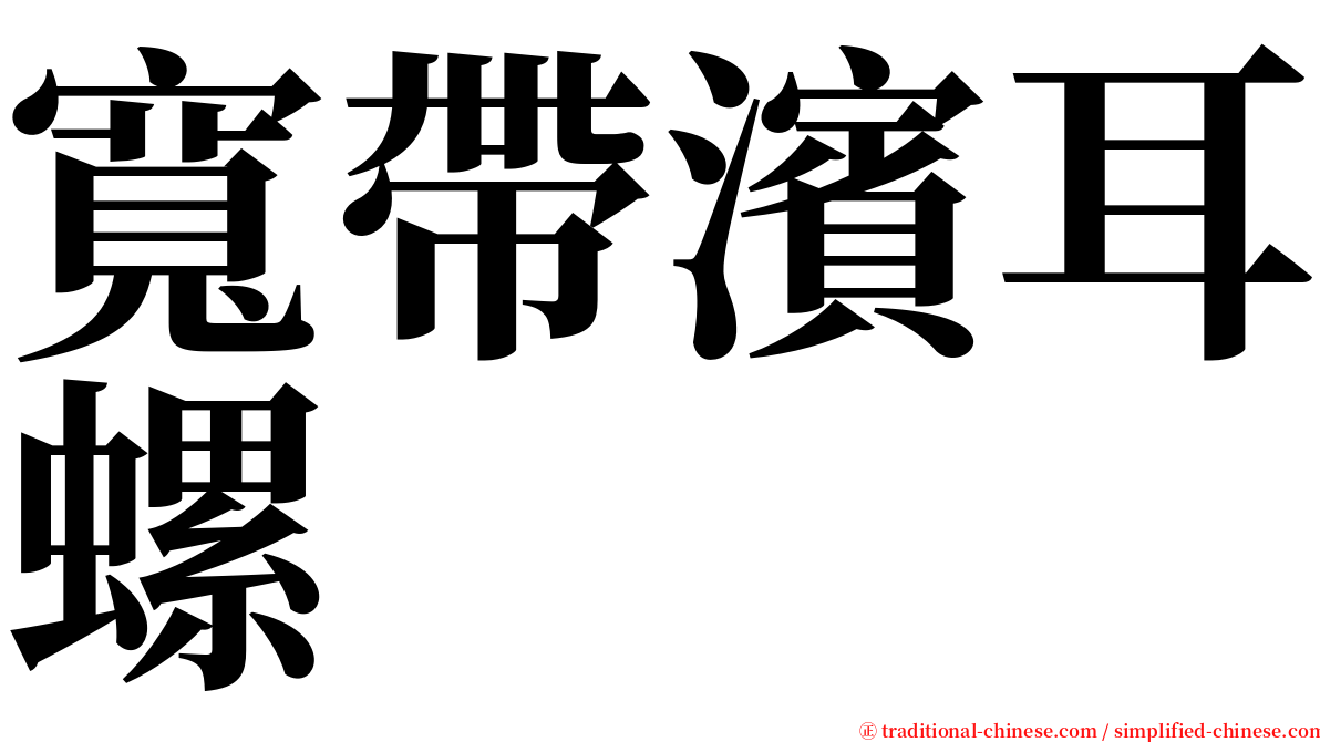 寬帶濱耳螺 serif font