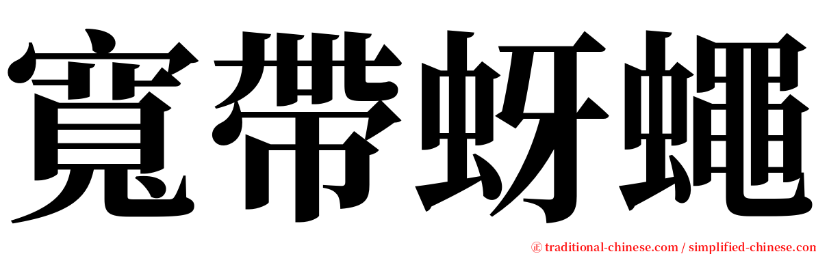 寬帶蚜蠅 serif font