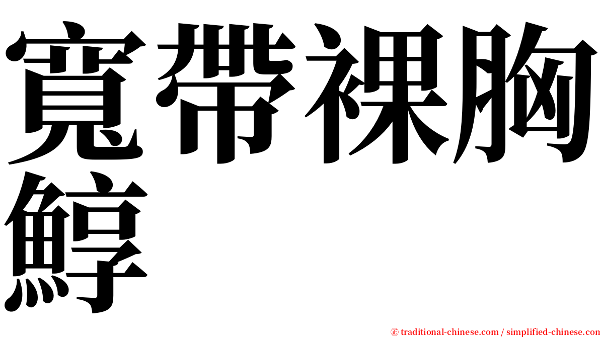 寬帶裸胸鯙 serif font