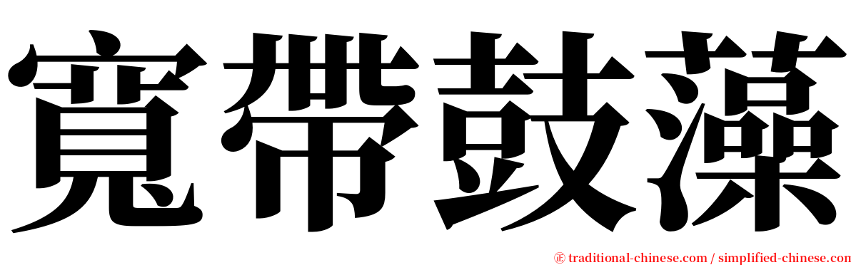 寬帶鼓藻 serif font