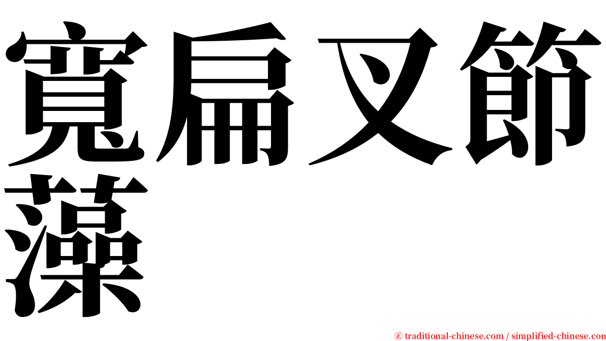 寬扁叉節藻 serif font