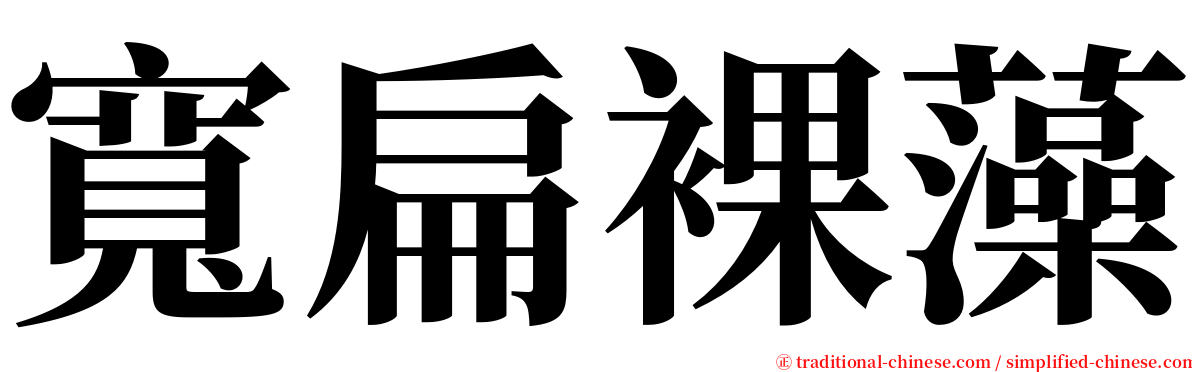 寬扁裸藻 serif font