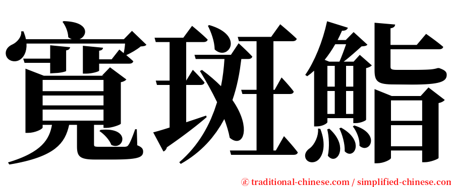 寬斑鮨 serif font