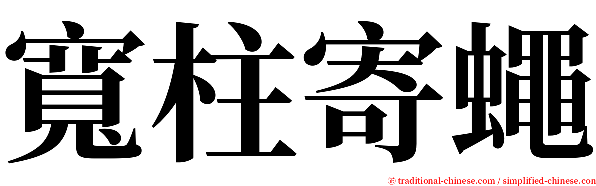 寬柱寄蠅 serif font