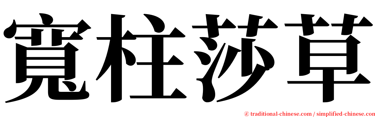 寬柱莎草 serif font