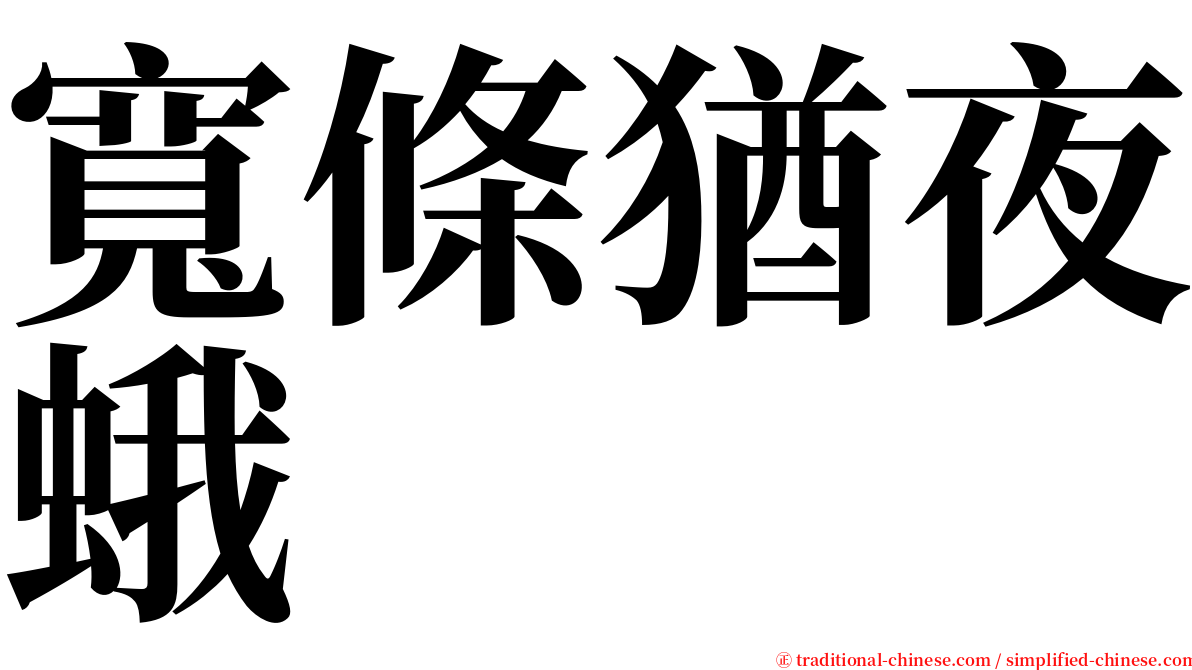 寬條猶夜蛾 serif font