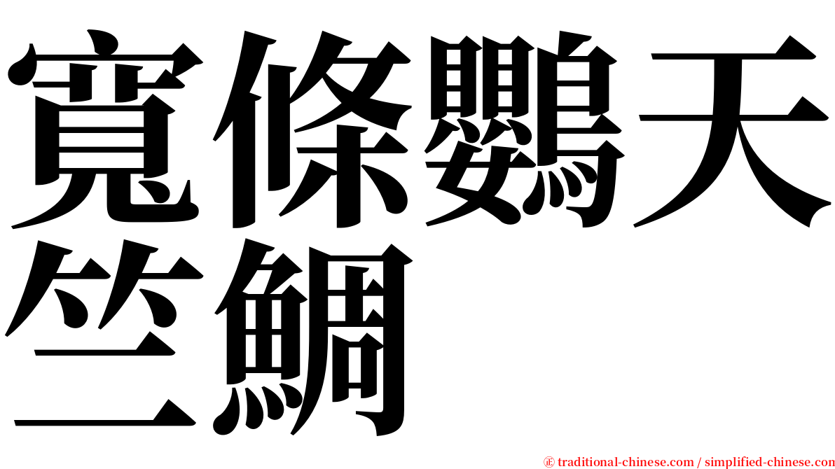 寬條鸚天竺鯛 serif font