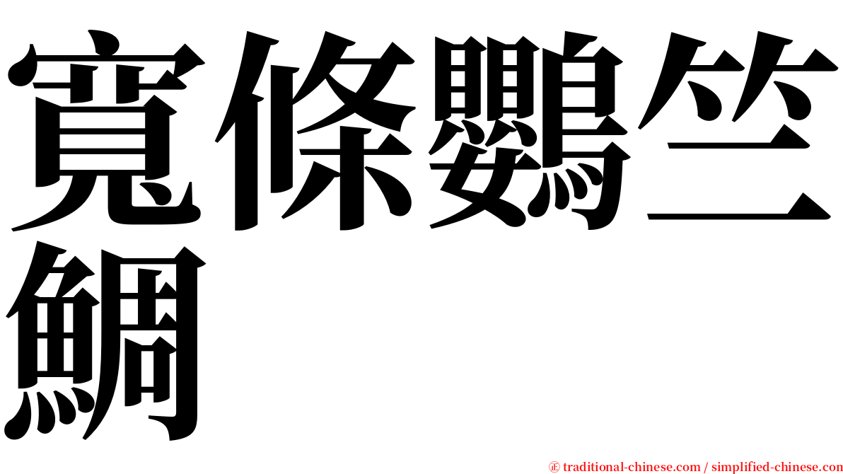 寬條鸚竺鯛 serif font