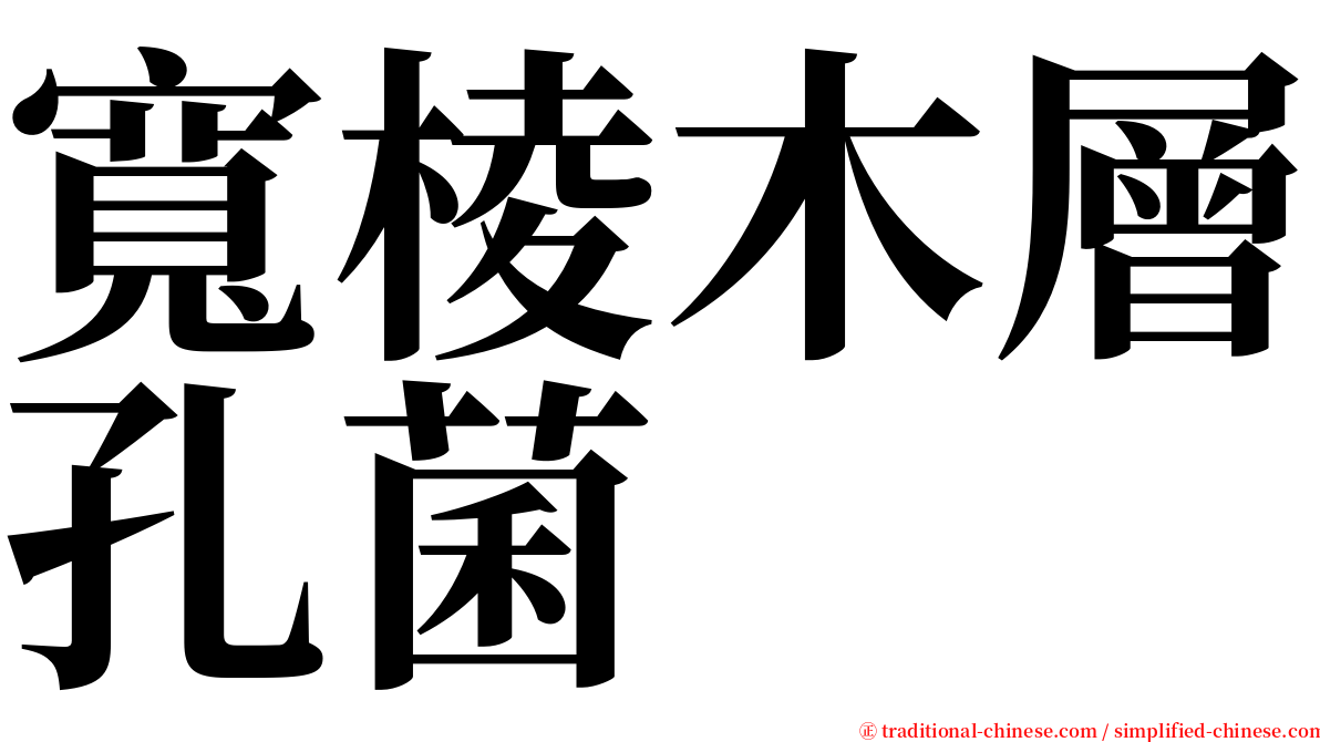 寬棱木層孔菌 serif font