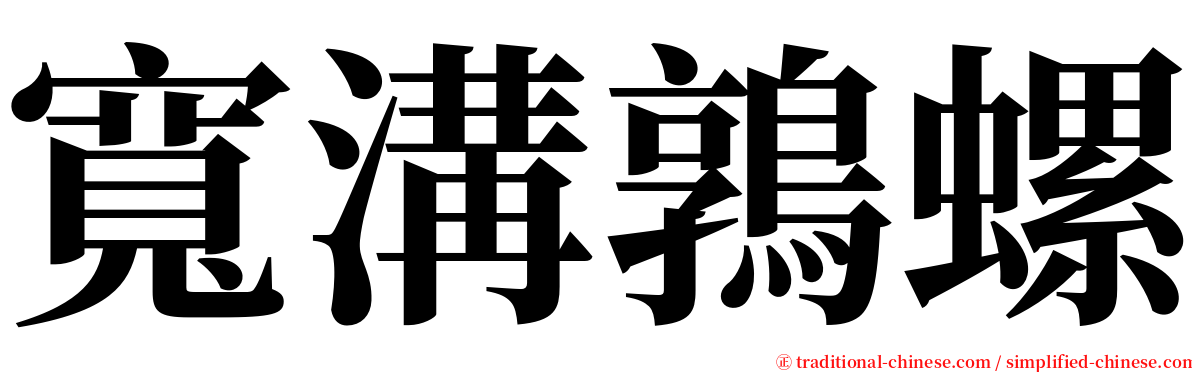 寬溝鶉螺 serif font