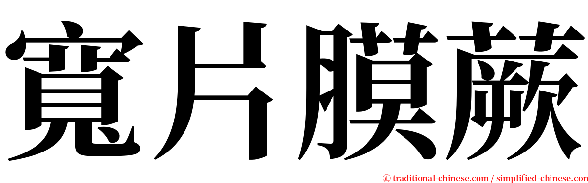 寬片膜蕨 serif font