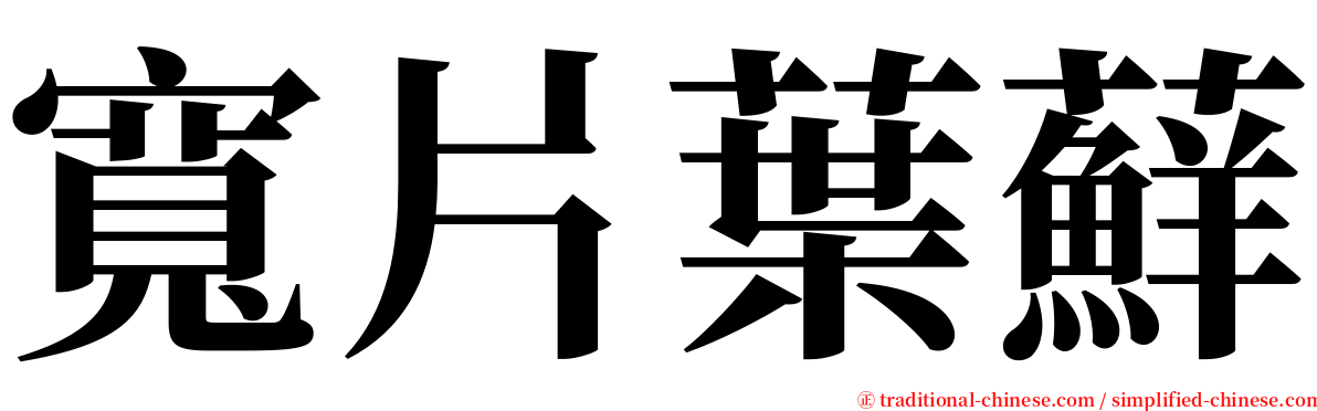 寬片葉蘚 serif font