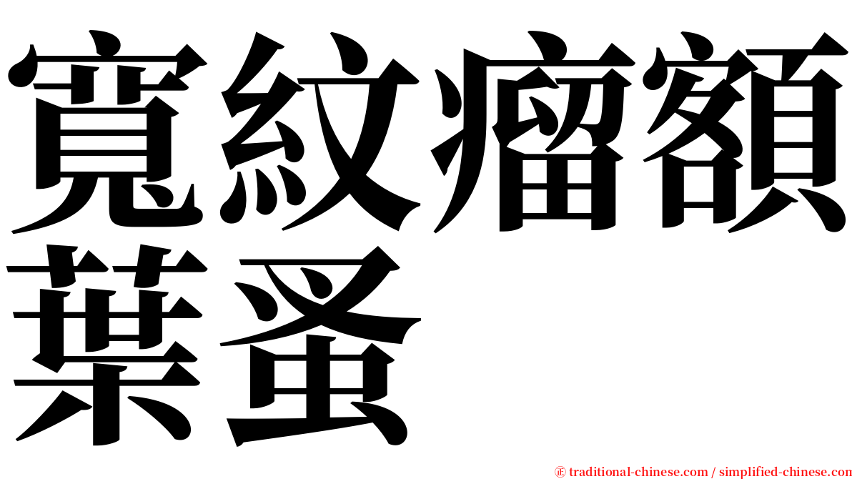 寬紋瘤額葉蚤 serif font