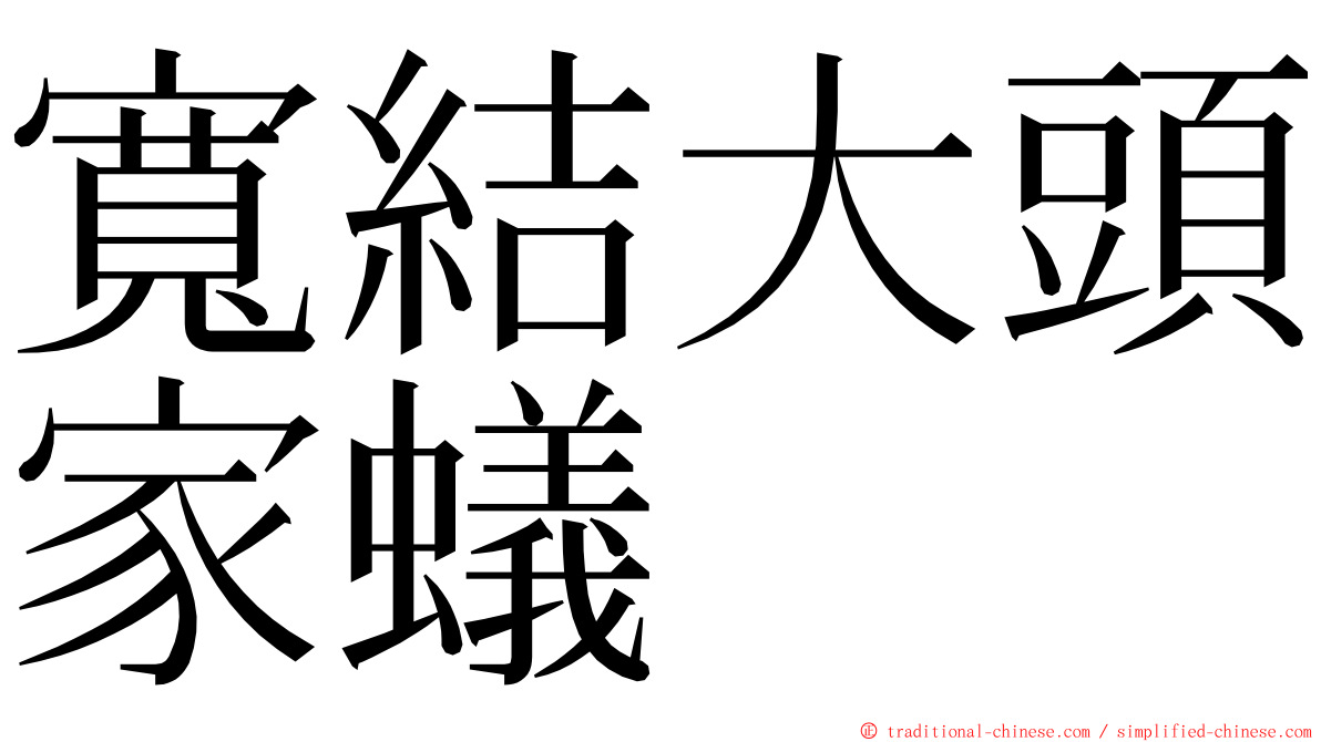 寬結大頭家蟻 ming font