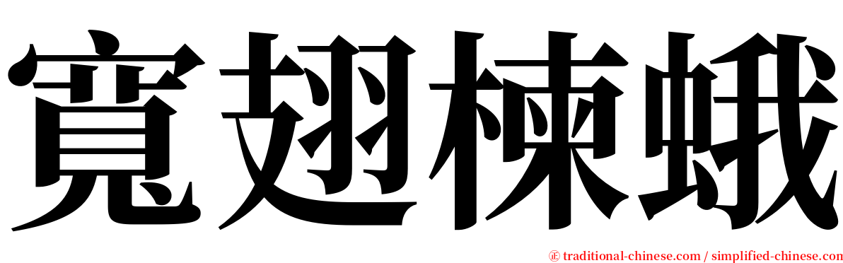 寬翅楝蛾 serif font