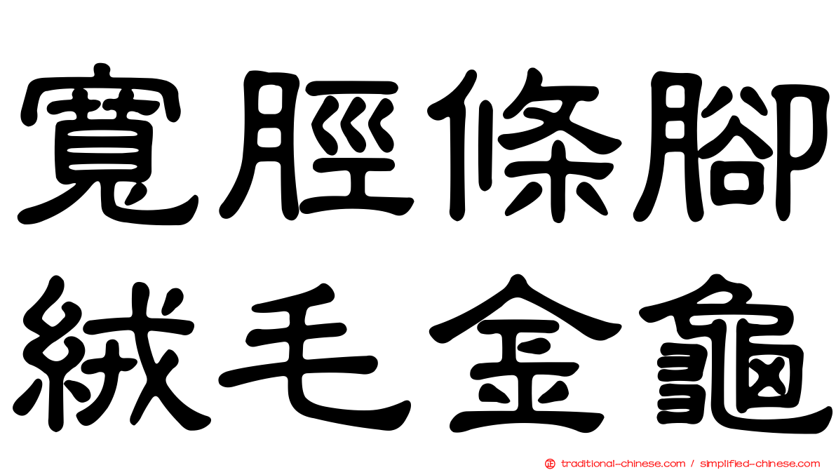 寬脛條腳絨毛金龜