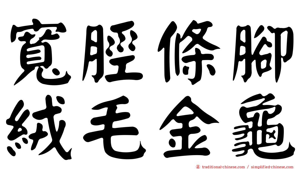 寬脛條腳絨毛金龜