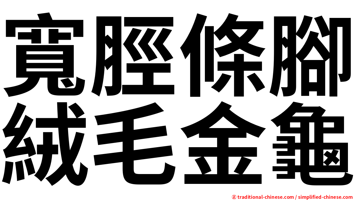 寬脛條腳絨毛金龜