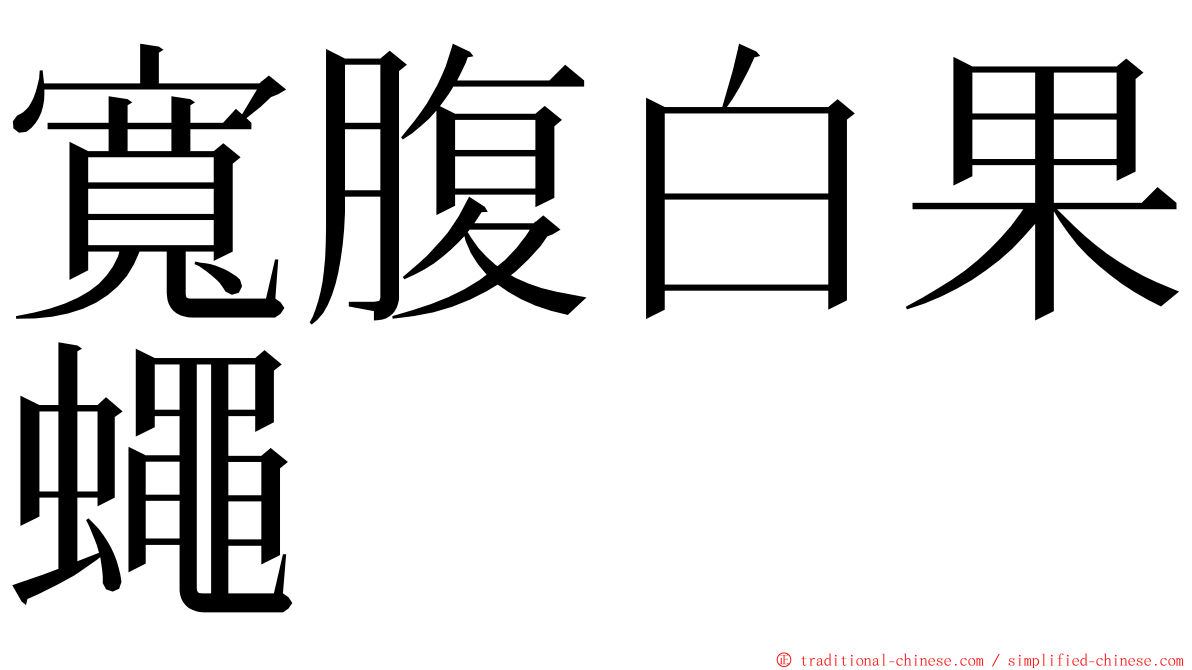 寬腹白果蠅 ming font