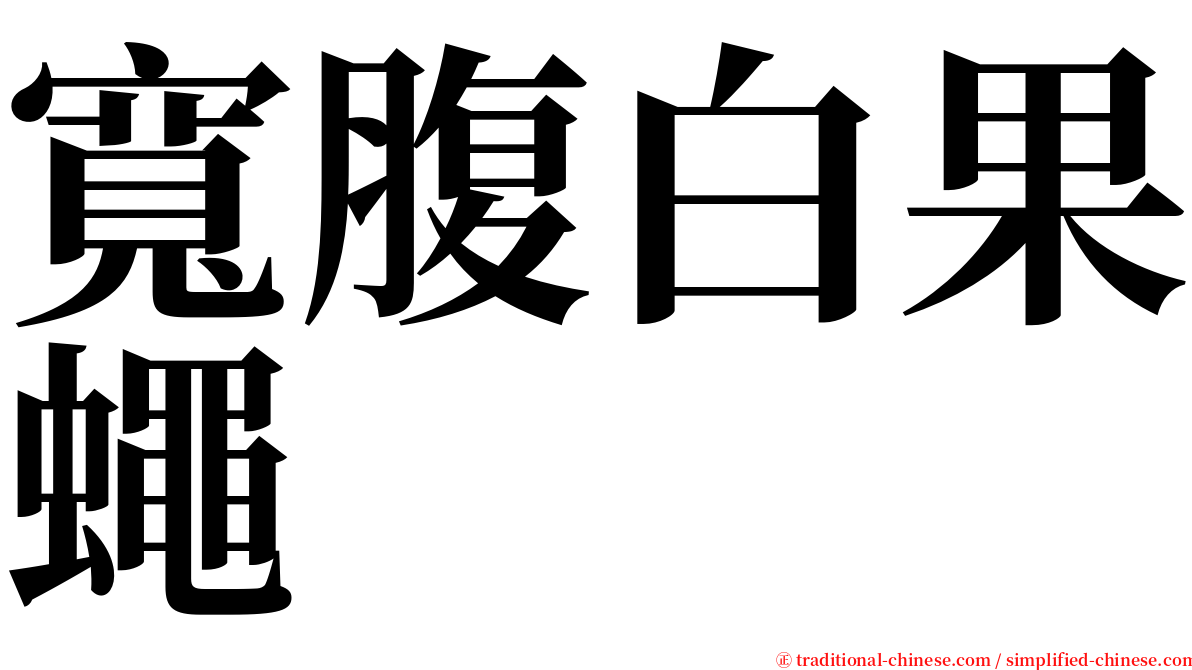 寬腹白果蠅 serif font