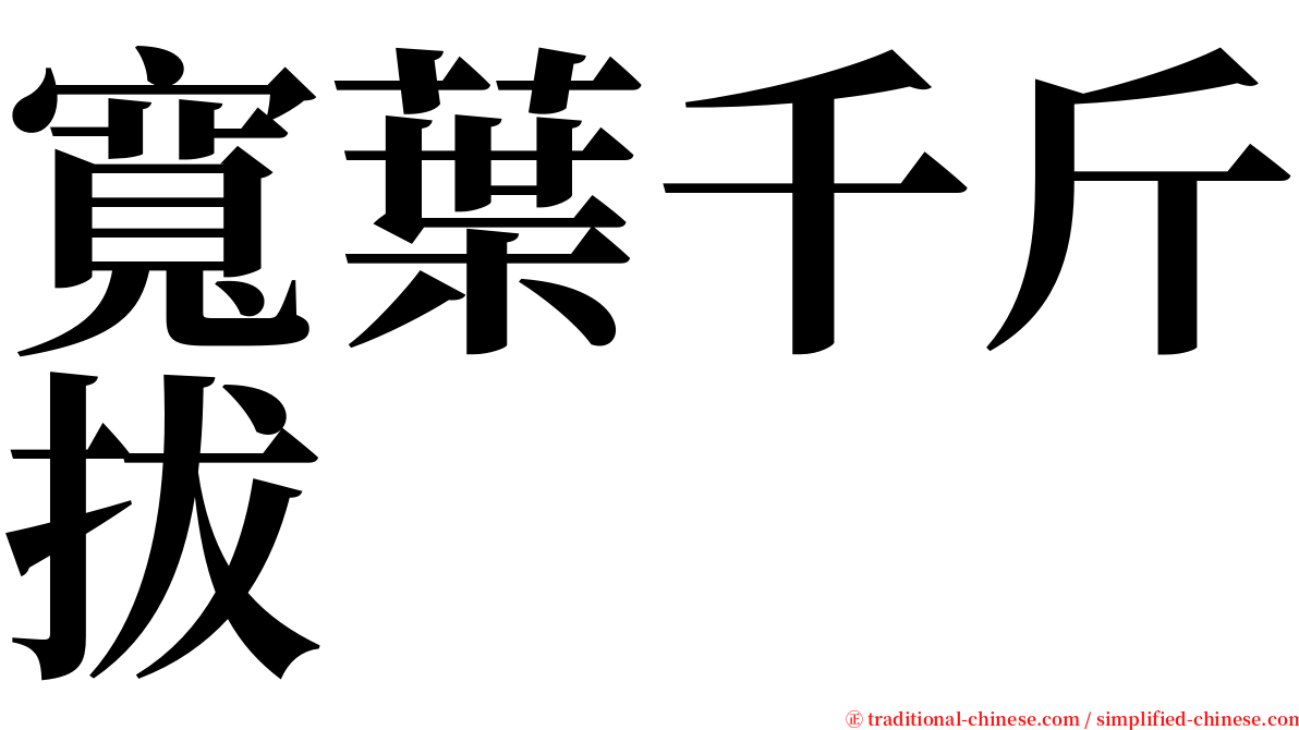 寬葉千斤拔 serif font