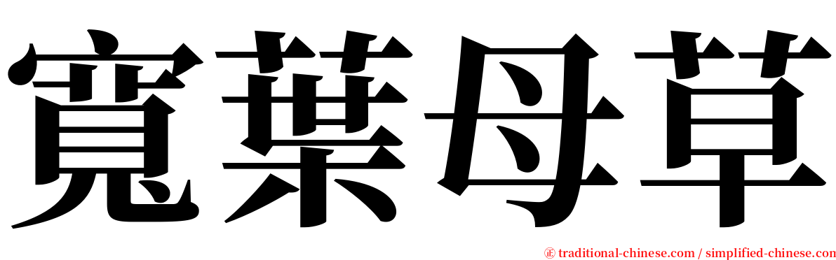 寬葉母草 serif font