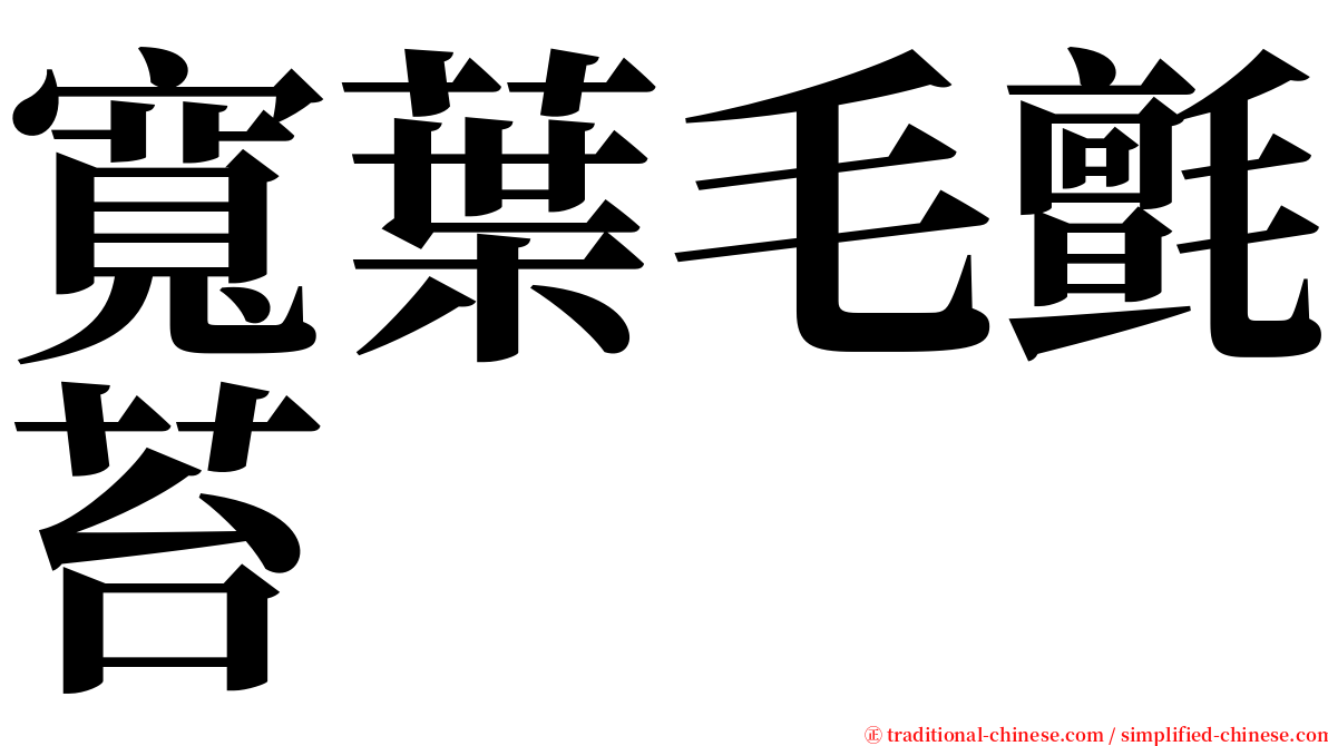 寬葉毛氈苔 serif font