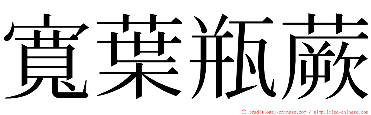 寬葉瓶蕨 ming font