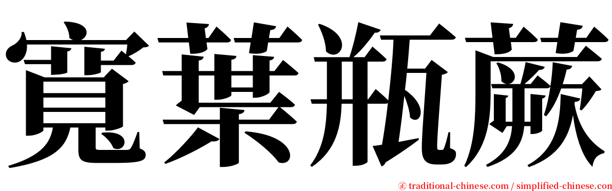 寬葉瓶蕨 serif font