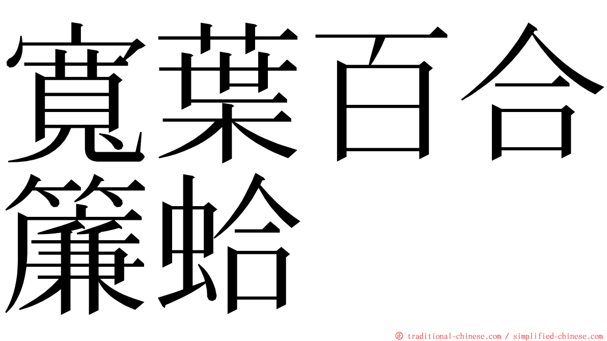 寬葉百合簾蛤 ming font