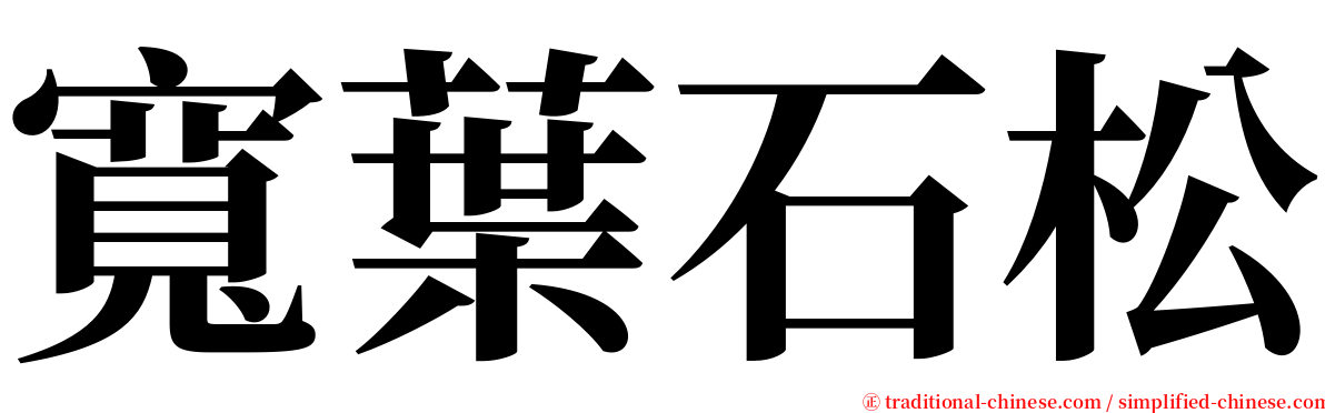 寬葉石松 serif font
