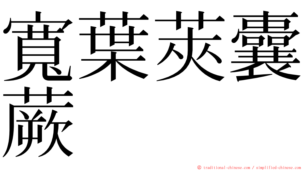 寬葉莢囊蕨 ming font