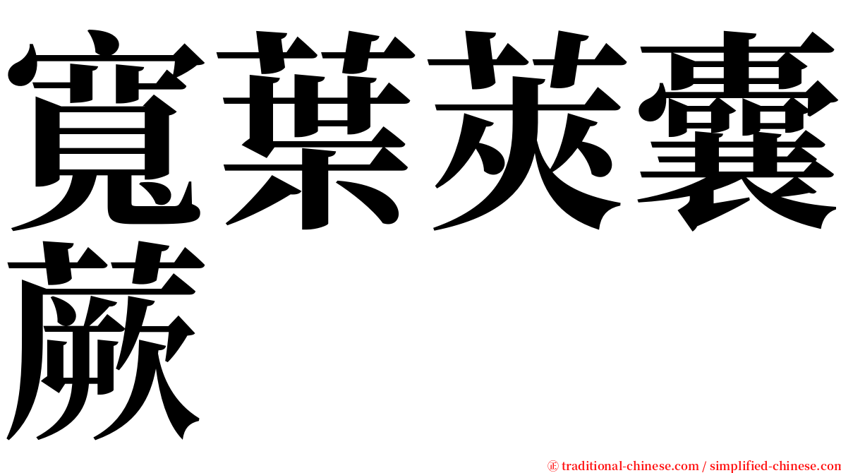 寬葉莢囊蕨 serif font