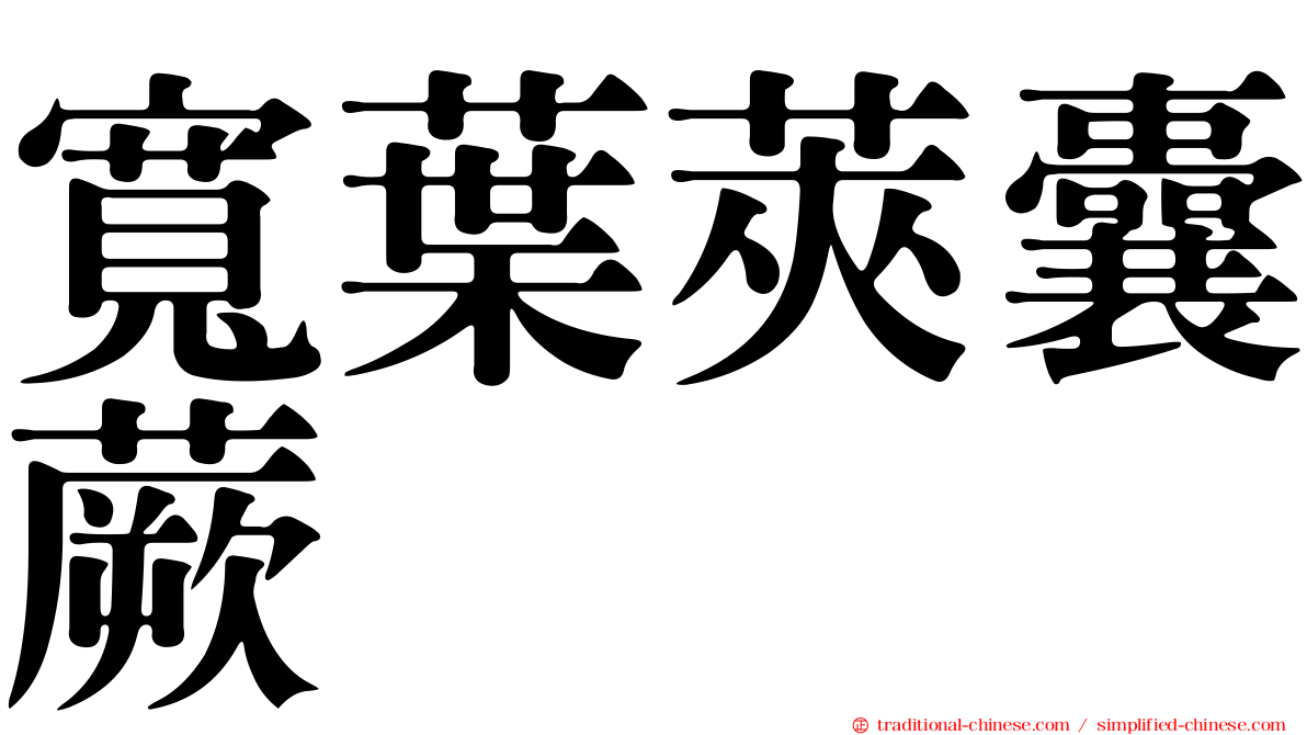 寬葉莢囊蕨