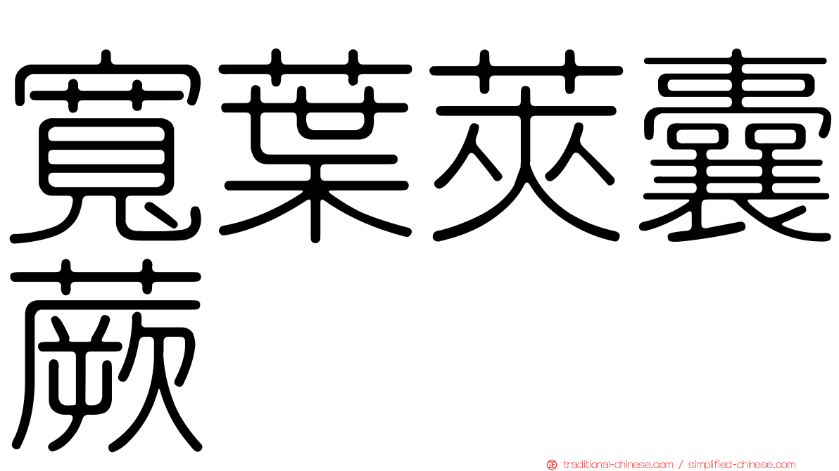 寬葉莢囊蕨