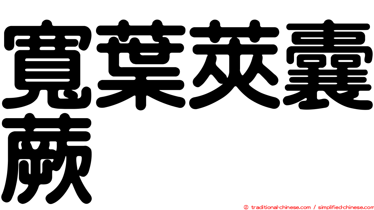 寬葉莢囊蕨