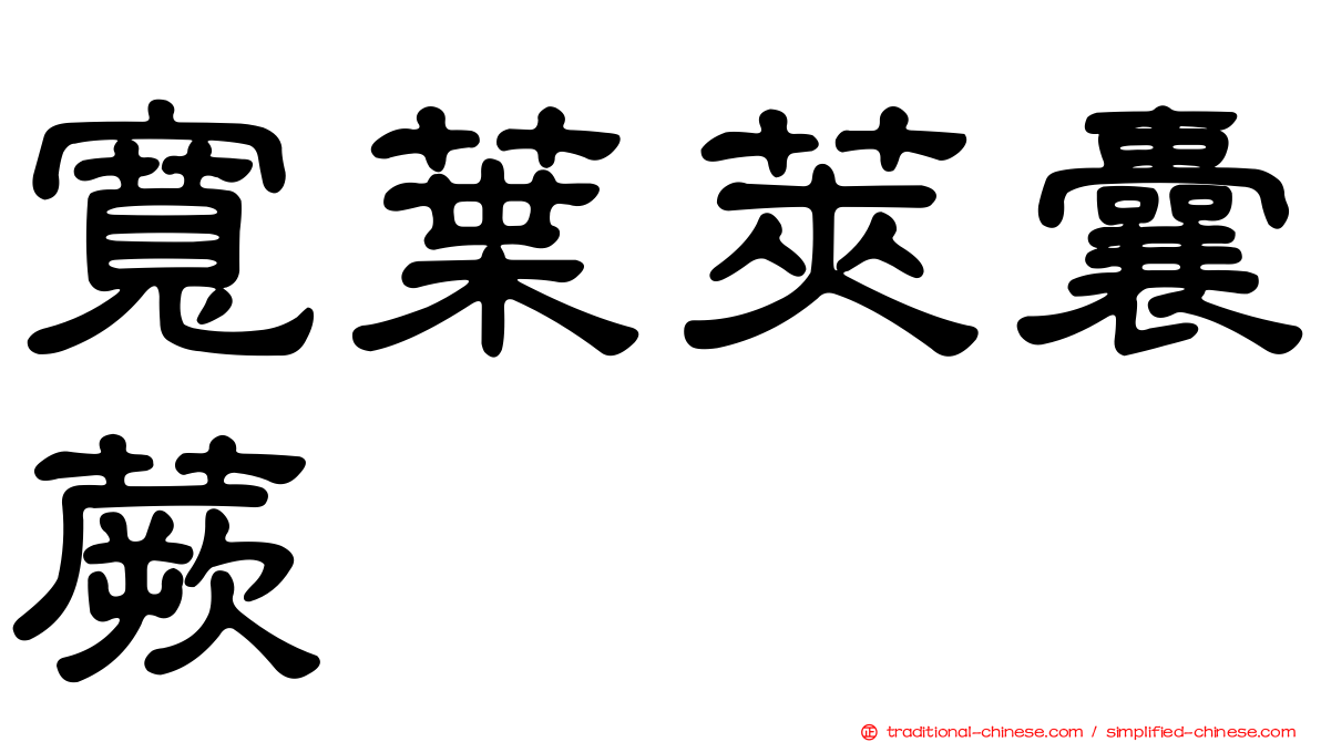 寬葉莢囊蕨