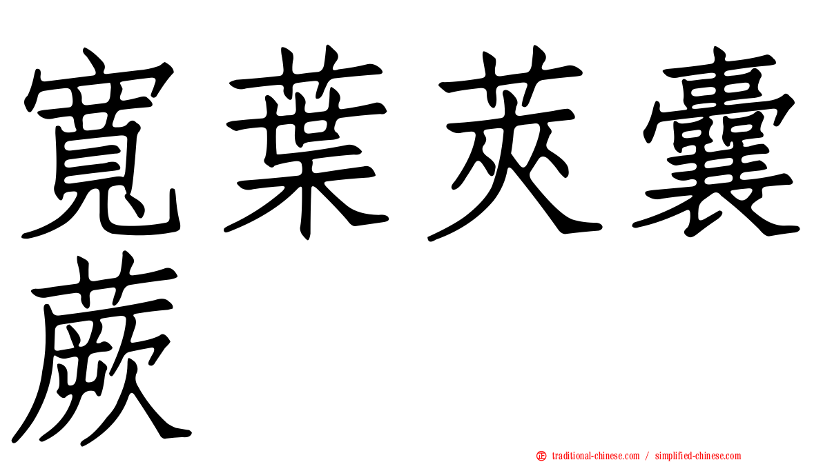 寬葉莢囊蕨