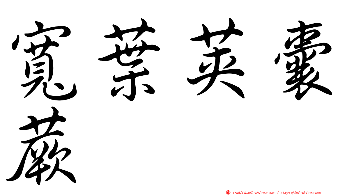 寬葉莢囊蕨