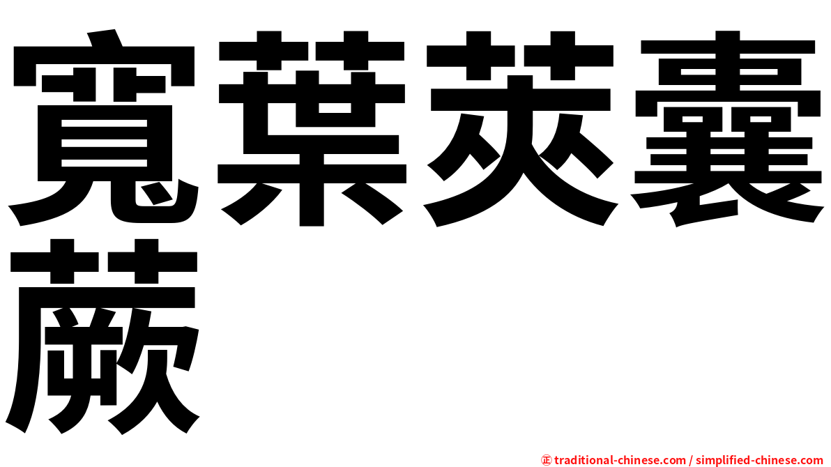 寬葉莢囊蕨