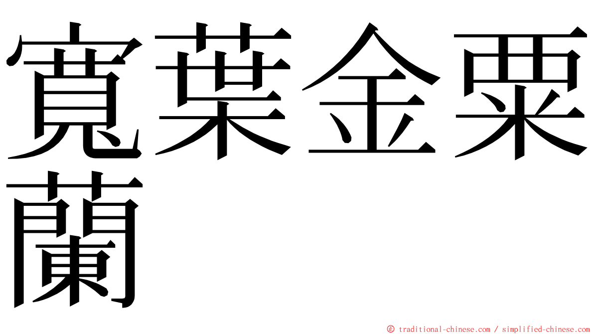 寬葉金粟蘭 ming font