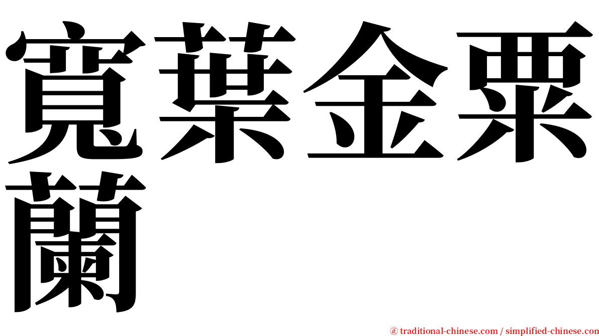 寬葉金粟蘭 serif font