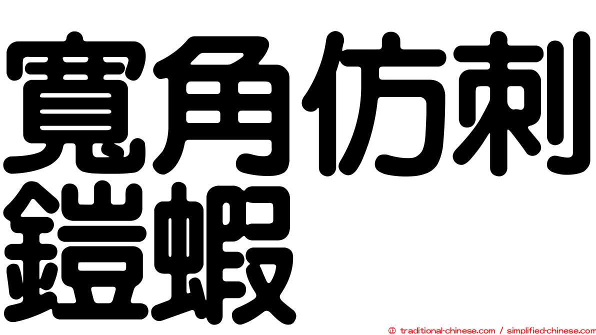 寬角仿刺鎧蝦