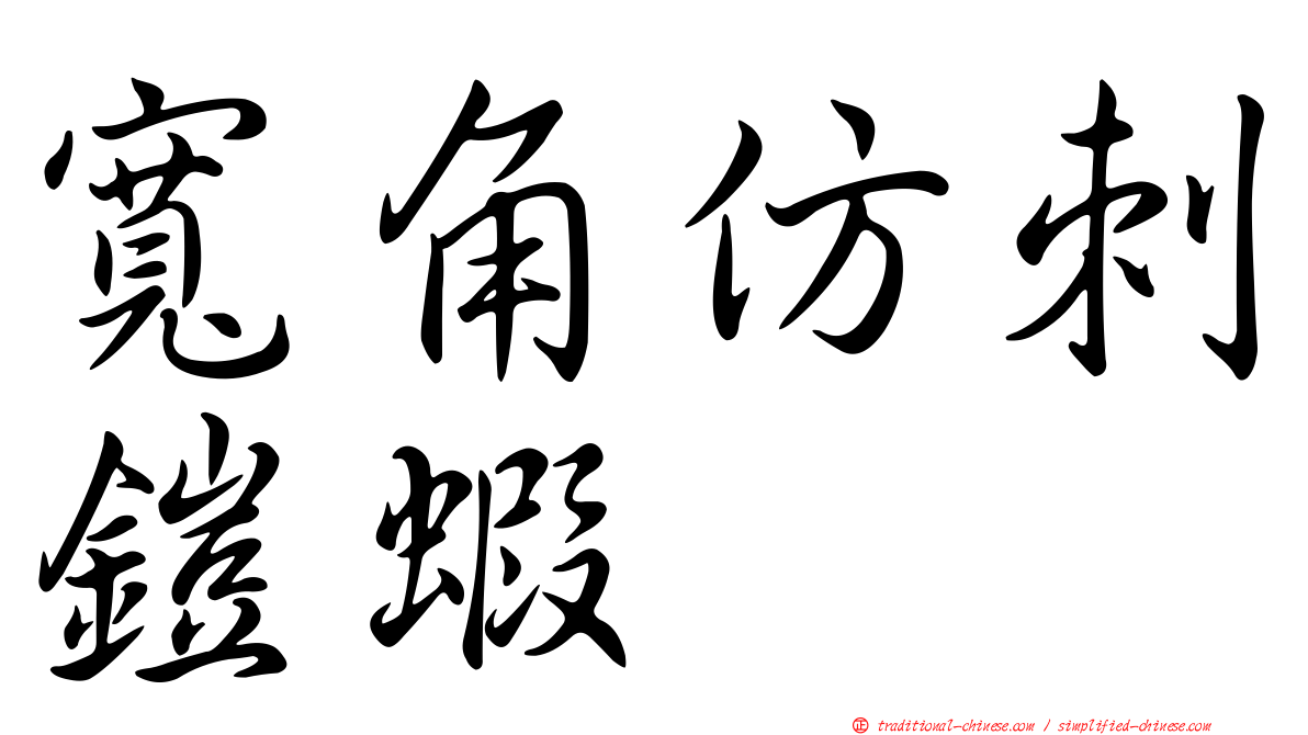 寬角仿刺鎧蝦