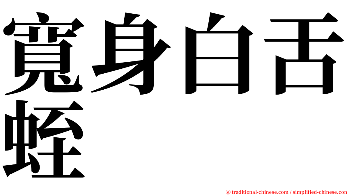 寬身白舌蛭 serif font