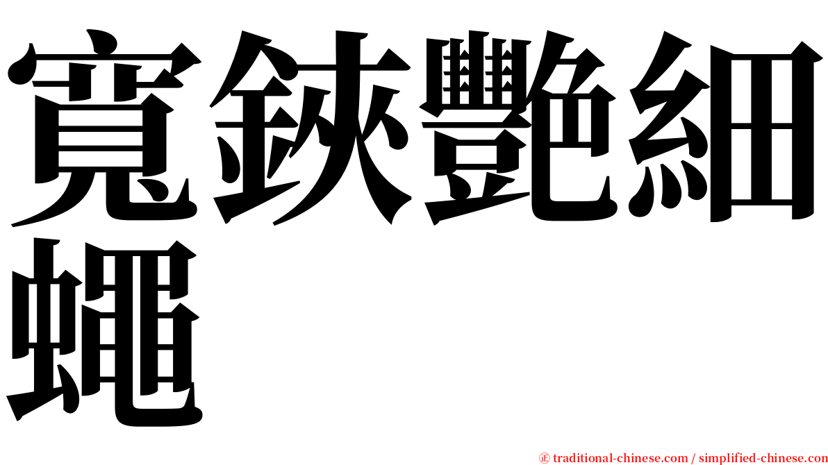 寬鋏艷細蠅 serif font