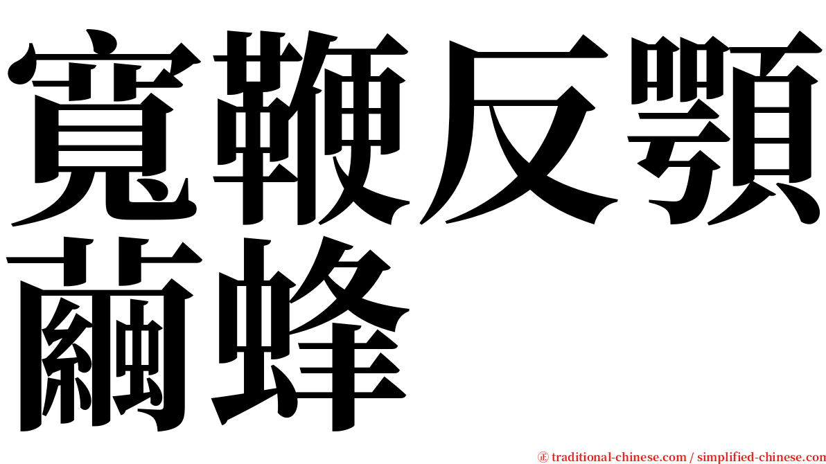 寬鞭反顎繭蜂 serif font