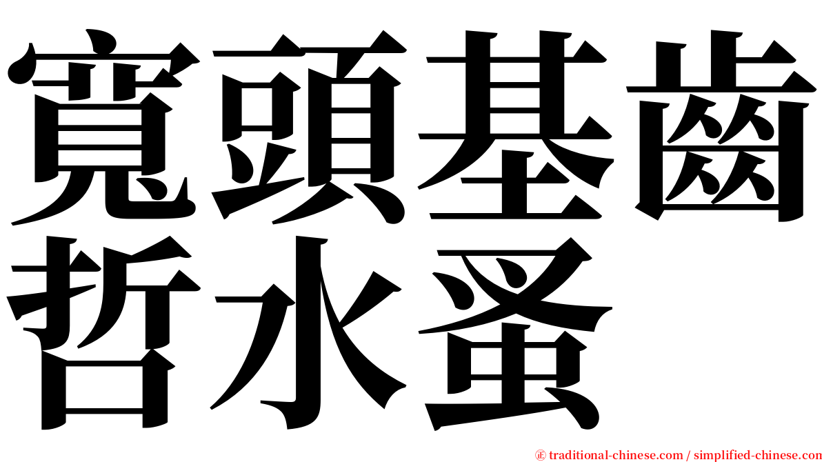 寬頭基齒哲水蚤 serif font