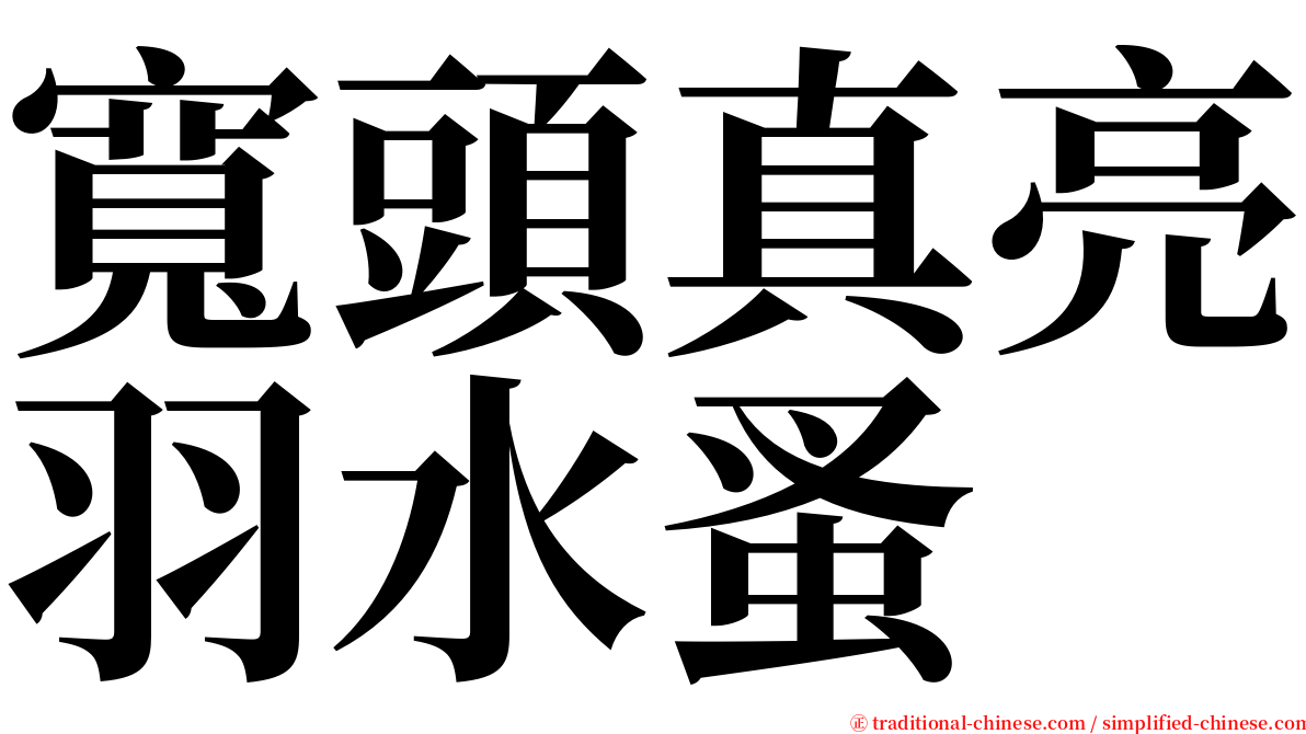 寬頭真亮羽水蚤 serif font