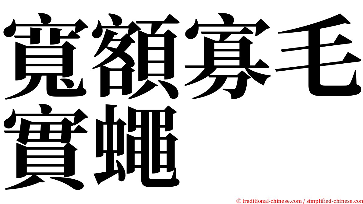 寬額寡毛實蠅 serif font